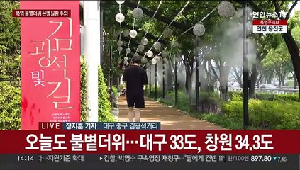 폭염에 온열질환자 속출…피서객은 안전사고 주의해야