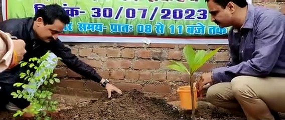 एक पौधा एक जिंदगी अभियान के तहत घर-घर रोपे गए पौधे