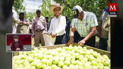 Video herunterladen: Claudia Sheinbaum: La Favorita en las Encuestas para las Elecciones Presidenciales 2024