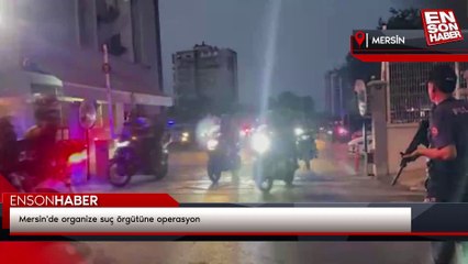 Mersin'de organize suç örgütüne operasyon