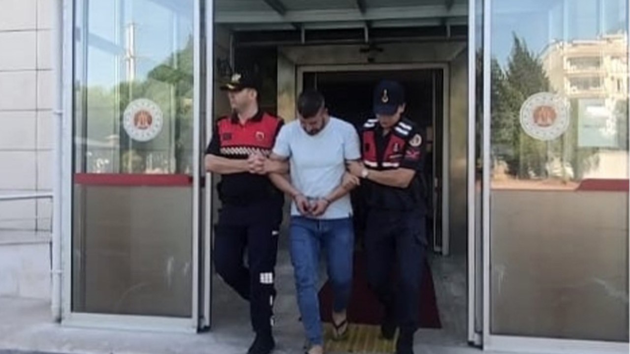 Zeytin tankında sepetleme görüntüsüne 'tutuklama'