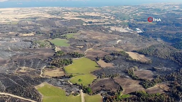 Çanakkale'deki orman yangınlarında 3 bin 500 futbol sahası büyüklüğünde alan yandı