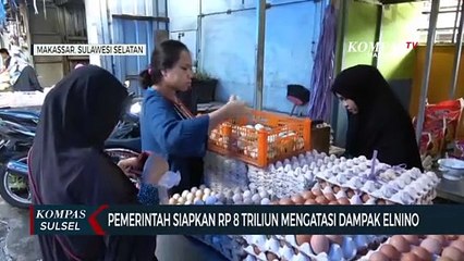 Pemerintah siapkan Rp 8 triliun mengatasi dampak Elnino