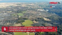 Çanakkale’de 3 bin 500 futbol sahası büyüklüğünde alan yandı