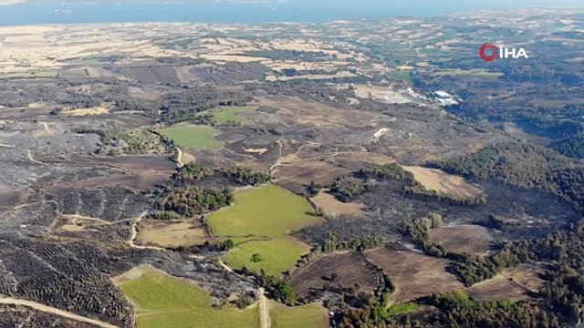 Çanakkale’deki orman yangınlarında 3 bin 500 futbol sahası büyüklüğünde alan yandı
