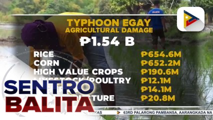 DA: Halaga ng pinsala ng Bagyong #EgayPH sa sektor ng agrikultura, pumalo na sa P1.54B