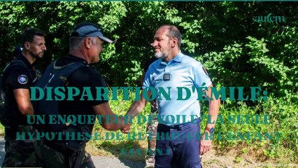 Disparition d'Emile : un enquêteur dévoile "la seule hypothèse de retrouver l'enfant vivant"