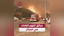 حرائق تلتهم الغابات في الجزائر