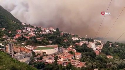 Incendie de forêt en Algérie： 15 morts, 1 500 personnes évacuées dans 16 états