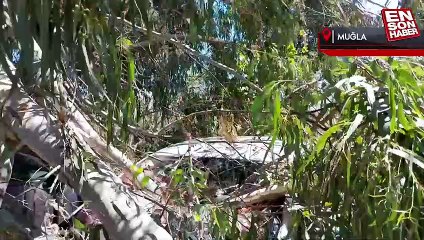 Azmak keyfi pahalıya patladı: Kırılan ağaç dalı araçta hasar oluşturdu