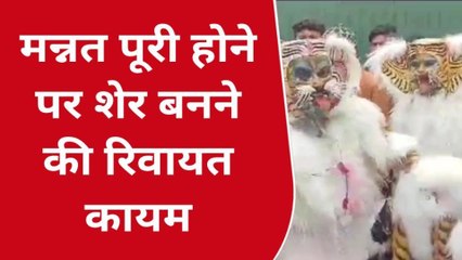 छिंदवाड़ा: मन्नत पूरी होने पर बच्चे बनते हैं शेर