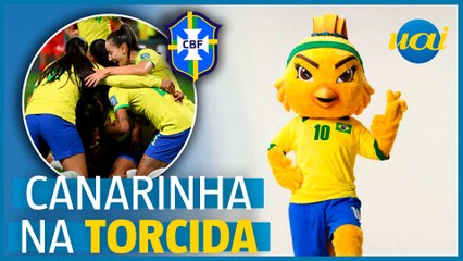 ‘Periquita pistola’: mascote da seleção conquista redes sociais
