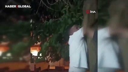 Ağaç gövdesi arasına sıkışan kedi vatandaşlar tarafından kurtarıldı