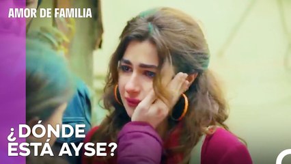 Todos Están Preocupados Pero La Meta Es Común - Amor De Familia Capitulo 79