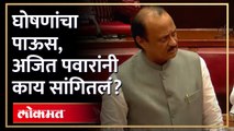 घोषणांचा पाऊस, अजित पवारांनी काय सांगितलं?