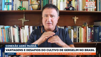 Vantagens e desafios do cultivo de gergelim no Brasil | BandNews Agro