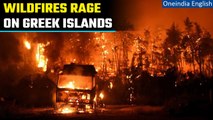 Greece Wildfire: Corfu latest Greek island to evacuate tourists after Rhodes | Oneindia News