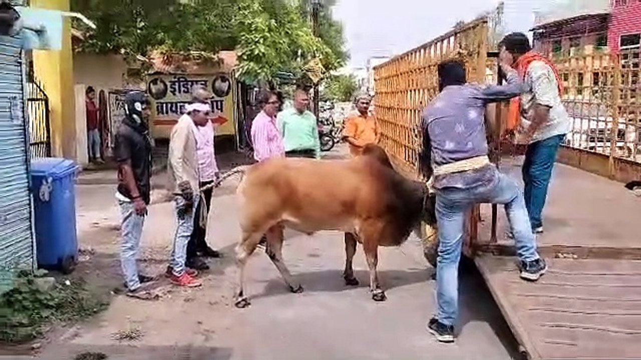 हाईकोर्ट की फटकार के बाद जागा निगम अब तक 1600 स...