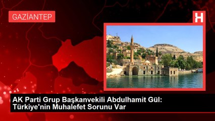 AK Parti Grup Başkanvekili Abdulhamit Gül: Türkiye'nin Muhalefet Sorunu Var