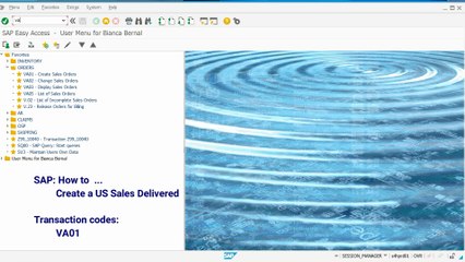 SD Create a US Sales Delivered