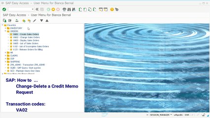SD Change-Delete a Credit Memo Request