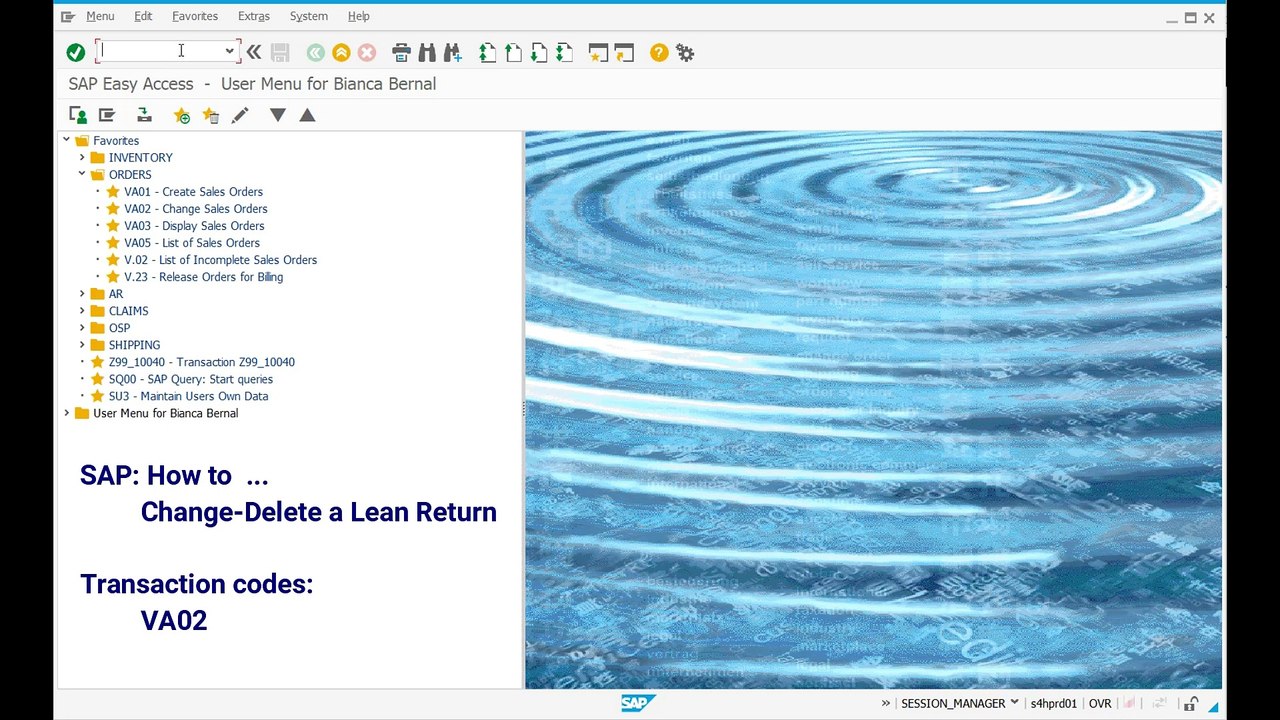 SD Change-Delete a Lean Return