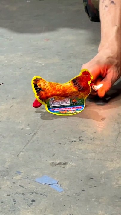 Petasan ayam