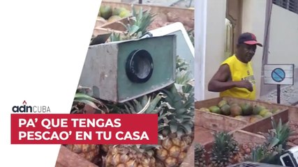 Pa’ que tengas pescao’ en tu casa Reportaje: Carlos Milanés y Julio Góngora para ADN Cuba.