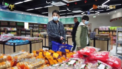 Back to Field S7 EP1 Yixing cut