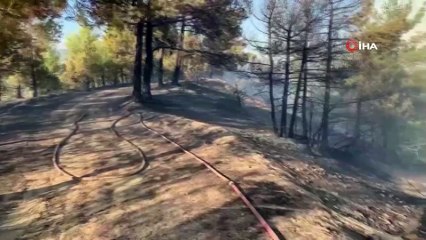 Depremin vurduğu Kahramanmaraş’ta korkutan orman yangını!