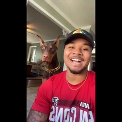 Funniest Dogs And Cats Ever  - Best Funny Animal Videos