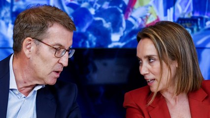 Feijóo asegura haber tenido "contactos con distintas fuerzas" para formar Gobierno