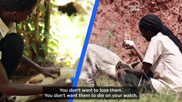 Meet the conservationists saving rare animals in Uganda