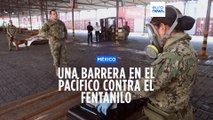México | Una barrera contra el fentanilo, un opiáceo sintético 50 veces más potente que la heroína