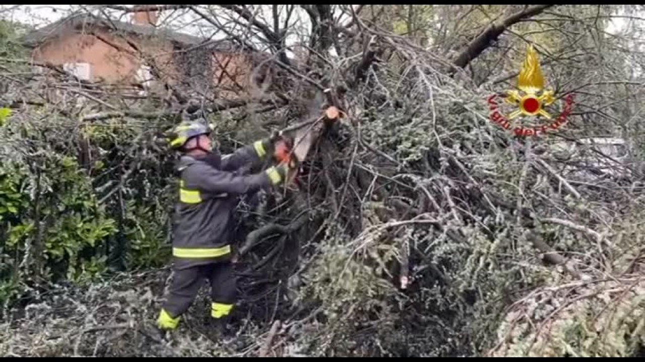Maltempo, una donna muore schiacciata da un albero a Lissone