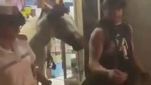 Va dal tabaccaio con il cavallo