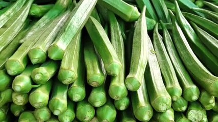 आज का दिल्ली आजादपुर मंडी और मध्यप्रदेश की विभिन्न मंडियों में भिन्डी का  थोक भाव क्या रहा देखिए