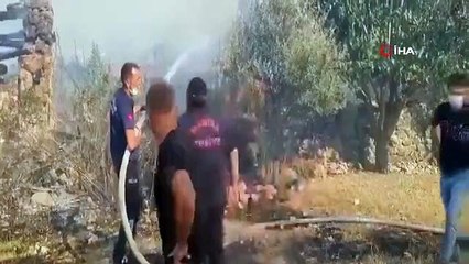 Manisa'daki yangına müdahale devam ediyor