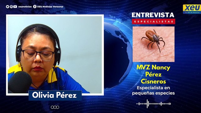 ¿Qué enfermedades pueden causar las garrapatas en las personas?