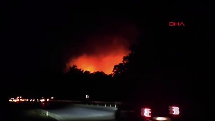 Kemer'de Orman Yangını: Ekipler Çalışmalara Başladı