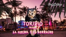 La Sirena y el Borracho: Historias de terror para no dormir