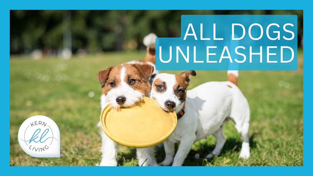 All Dogs Unleashed | KERN LIVING