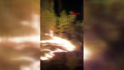 Les incendies de forêt ont répondu à Kemer et Manavgat