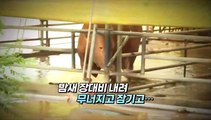 [영상구성] 광주·전남 호우피해 속출…오늘 또 비 온다