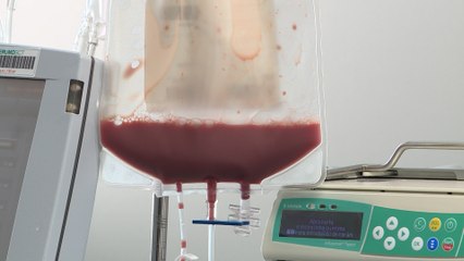 Em Portugal há cerca de 400 mil dadores de medula óssea