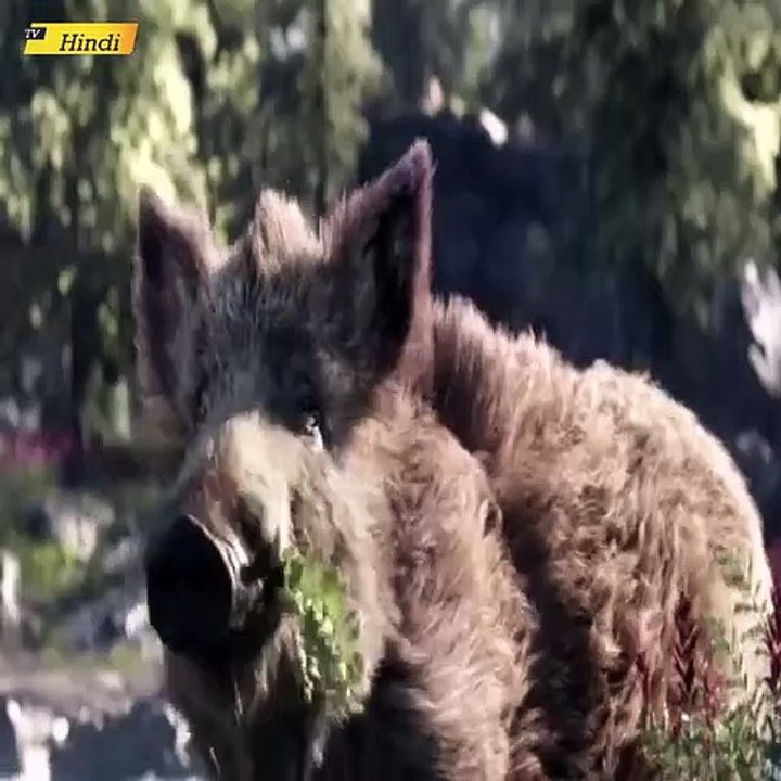 The Call Of The Wild | The Call Of The Wild Movie Scene | Cute Brave Dog