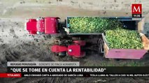 Agricultura regenerativa, la apuesta de MARS Petcare con CIMMYT