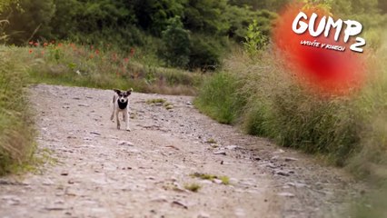 Gump – jsme dvojka | movie | 2024 | Official Clip