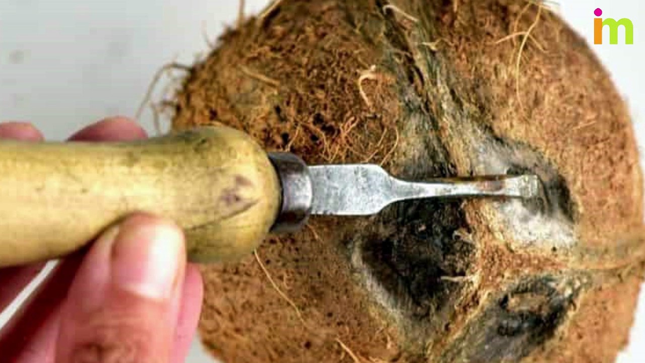 how to open a coconut