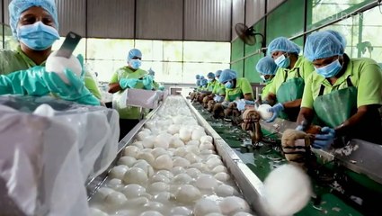 How 30,000 metric tons of coconuts are processed a year in Sri Lanka